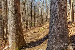 348 Big Raven Ln, Saluda, NC 28773 - Photo 33