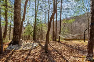 348 Big Raven Ln, Saluda, NC 28773 - Photo 35