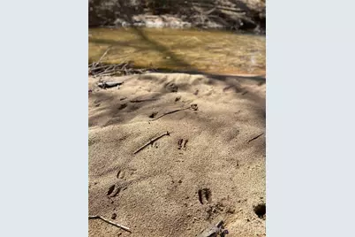 0 Coxe Road, Rutherfordton, NC 28139 - Photo 17