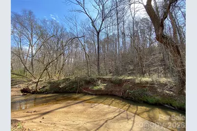 0 Coxe Road, Rutherfordton, NC 28139 - Photo 7