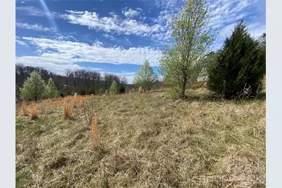 0 Coxe Road, Rutherfordton, NC 28139 - Photo 19
