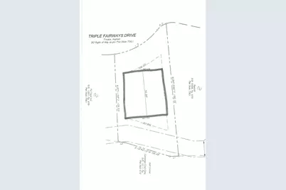 156 Triple Fairways Drive, Hendersonville, NC 28739 - Photo 3