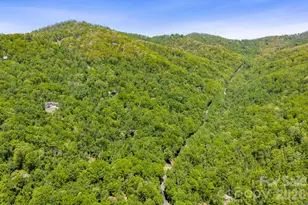14 Weeping Cherry Forest Rd, Fairview, NC 28730 - Photo 35