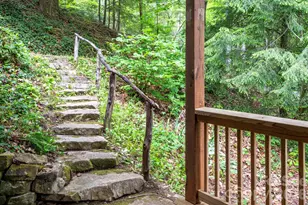 14 Weeping Cherry Forest Rd, Fairview, NC 28730 - Photo 11