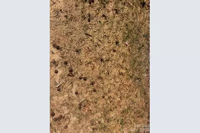 12.68 Acre 99 Road, Blair, SC 29015 - Photo 35