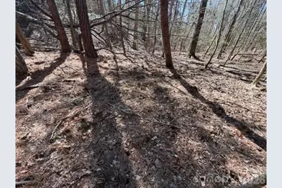 12.68 Acre 99 Road, Blair, SC 29015 - Photo 15