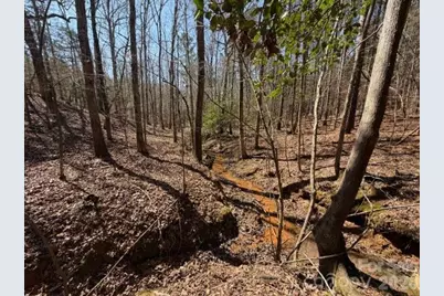 12.68 Acre 99 Road, Blair, SC 29015 - Photo 17