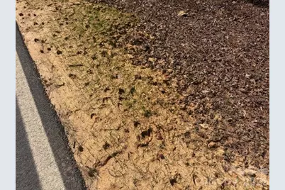 12.68 Acre 99 Road, Blair, SC 29015 - Photo 41