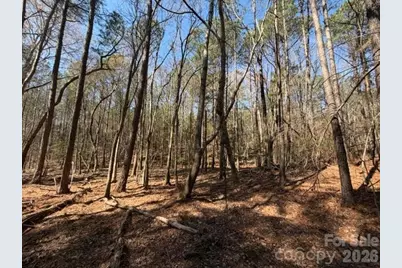 12.68 Acre 99 Road, Blair, SC 29015 - Photo 13