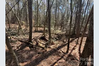 12.68 Acre 99 Road, Blair, SC 29015 - Photo 23