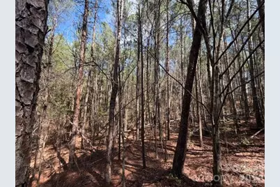 12.68 Acre 99 Road, Blair, SC 29015 - Photo 7