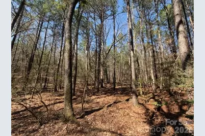 12.68 Acre 99 Road, Blair, SC 29015 - Photo 27