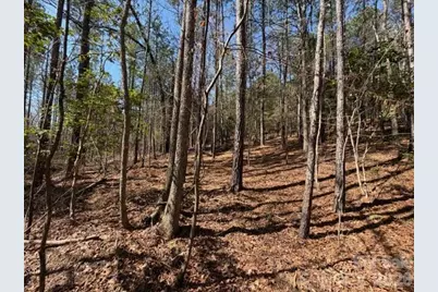 12.68 Acre 99 Road, Blair, SC 29015 - Photo 19