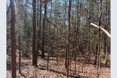 12.68 Acre 99 Road, Blair, SC 29015 - Photo 31