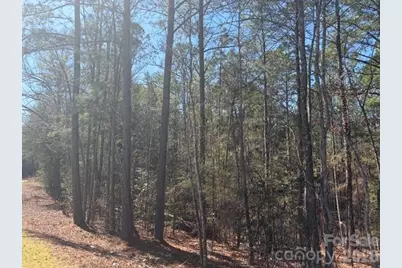 12.68 Acre 99 Road, Blair, SC 29015 - Photo 39