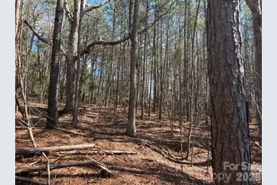 12.68 Acre 99 Road, Blair, SC 29015 - Photo 33