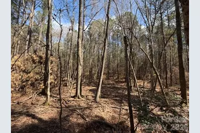 12.68 Acre 99 Road, Blair, SC 29015 - Photo 25