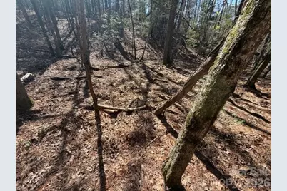 12.68 Acre 99 Road, Blair, SC 29015 - Photo 11