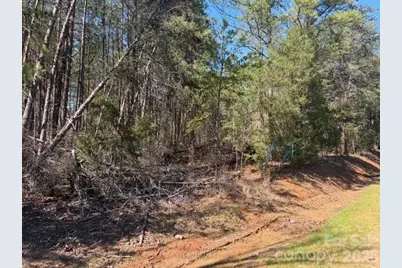 12.68 Acre 99 Road, Blair, SC 29015 - Photo 3