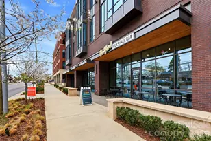 400 Clarice Ave, Charlotte, NC 28204 - Photo 19