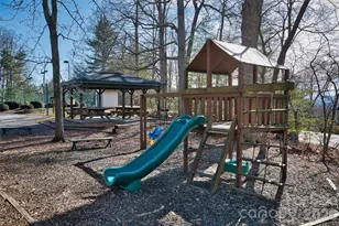 1105 High Vista Dr, Mills River, NC 28759 - Photo 45