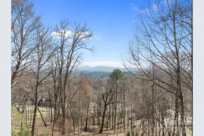 1105 High Vista Drive, Mills River, NC 28759 - Photo 3