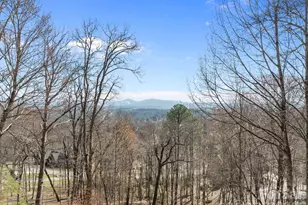 1105 High Vista Dr, Mills River, NC 28759 - Photo 3