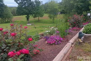 303 Terry Rd, Bostic, NC 28018 - Photo 41