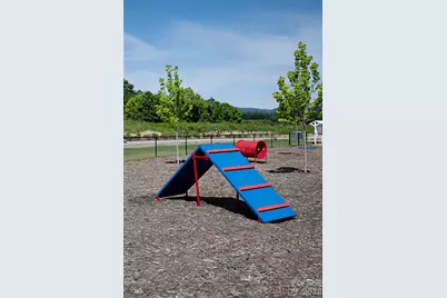 132 Salers Road, Fletcher, NC 28732 - Photo 29