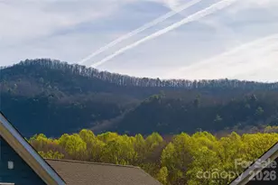 1022 Padgett Pl, Black Mountain, NC 28711 - Photo 45