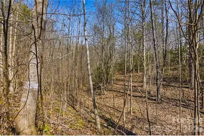 7710 Long Bay Parkway #6, Catawba, NC 28609 - Photo 9