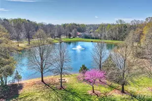 1715 Lillywood Ln, Indian Land, SC 29707 - Photo 39