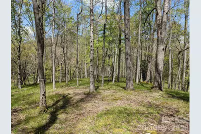 27 Woodtrail Way #24B, Arden, NC 28704 - Photo 5