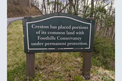 294 Verbena Drive, Black Mountain, NC 28711 - Photo 47