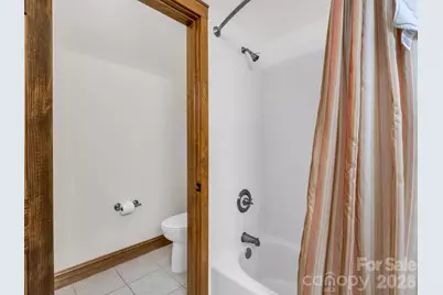 294 Verbena Drive, Black Mountain, NC 28711 - Photo 37