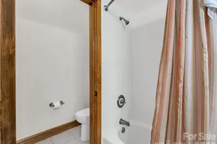 294 Verbena Dr, Black Mountain, NC 28711 - Photo 37