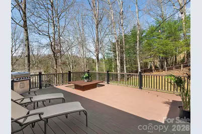 21 Dianthus Drive, Asheville, NC 28803 - Photo 7