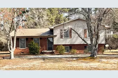 769 Dowd Road, Candor, NC 27229 - Photo 1