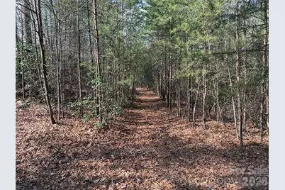 Tbd Deer Run Road #227, Purlear, NC 28665 - Photo 7