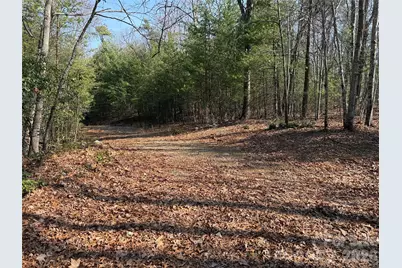 Tbd Deer Run Road #227, Purlear, NC 28665 - Photo 9