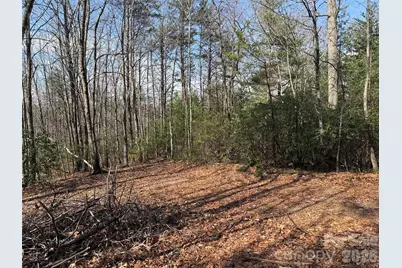 Tbd Deer Run Road #227, Purlear, NC 28665 - Photo 5