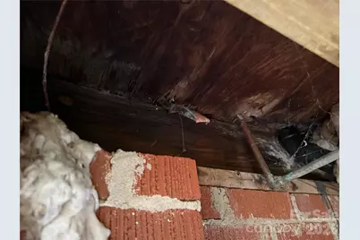 4215 Dinglewood Avenue, Charlotte, NC 28205 - Photo 17