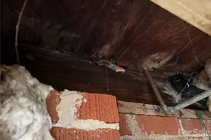 4215 Dinglewood Ave, Charlotte, NC 28205 - Photo 17