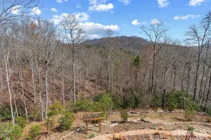 276 Stone Valley Way, Hendersonville, NC 28792 - Photo 13