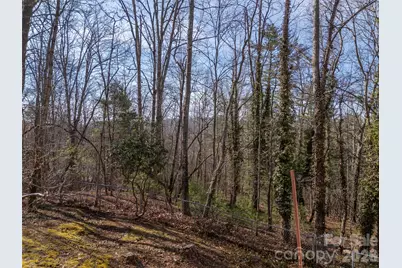 3 Country Road, Hendersonville, NC 28791 - Photo 45