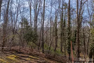 3 Country Rd, Hendersonville, NC 28791 - Photo 45