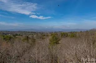 3 Country Rd, Hendersonville, NC 28791 - Photo 47