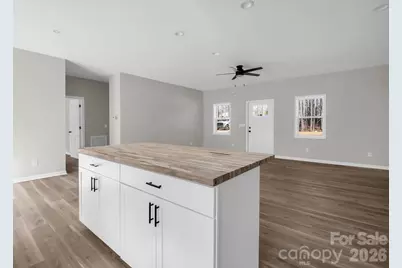 788 Tiney Road, Bostic, NC 28018 - Photo 13