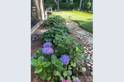 4231 Piaffe Avenue, Mint Hill, NC 28227 - Photo 5