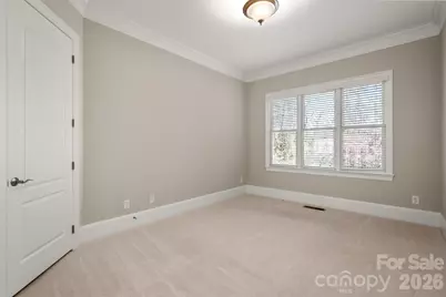 406 Belo Court, Fort Mill, SC 29715 - Photo 13